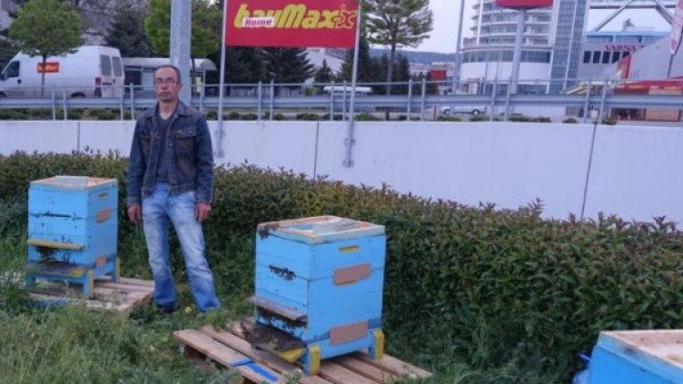 2 милиона домашни любимци на покривите на HomeMax