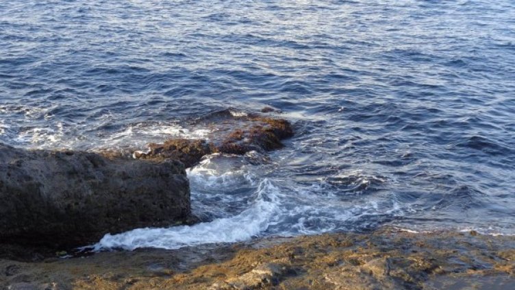 Снимка: Dnes.bg