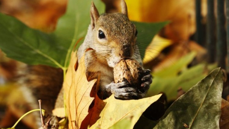 Снимка: Reuters, архив