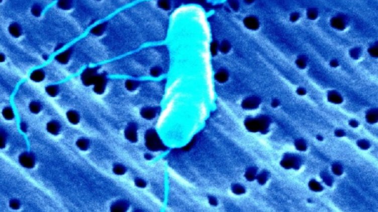 Снимка: Gettyimages