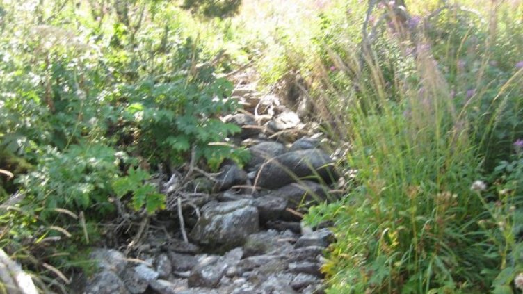 Снимка: Dnes.bg