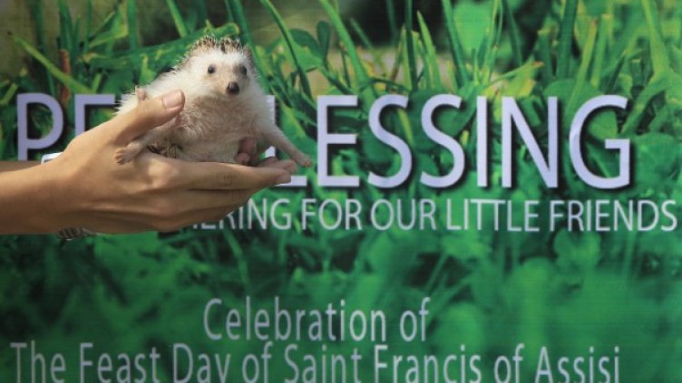 Снимка: Reuters