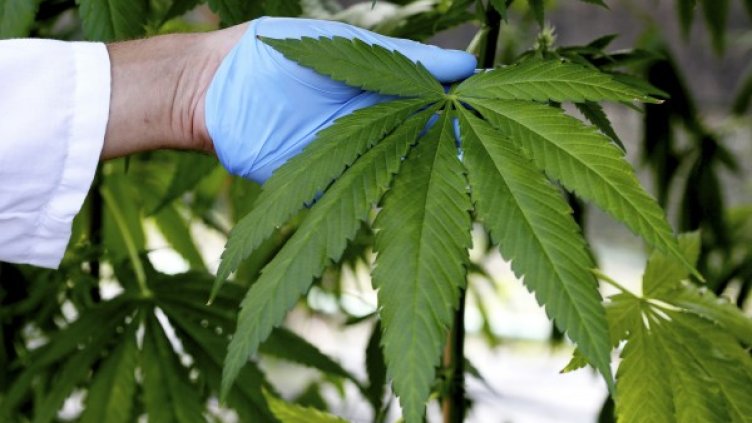 Снимка: Reuters