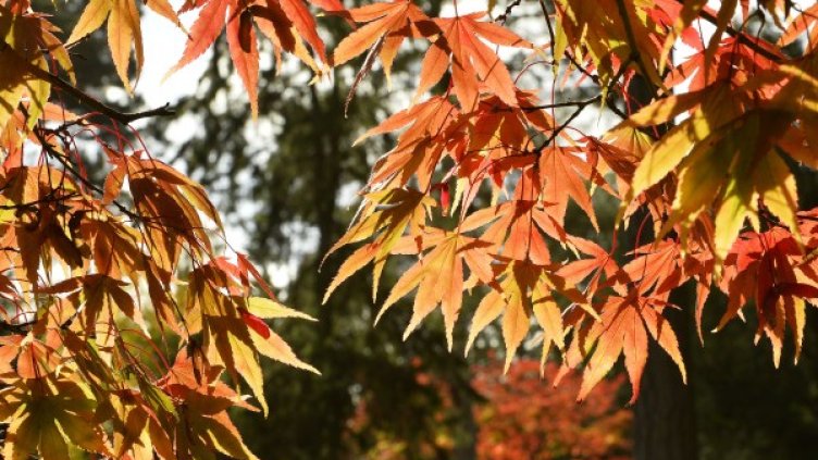 Снимка: Reuters, архив