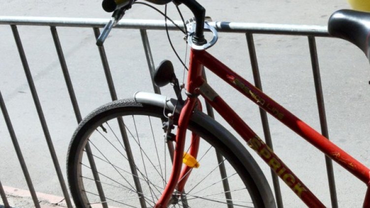 Снимка: Булфото, ахрив