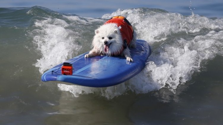 Снимка: Reuters, архив