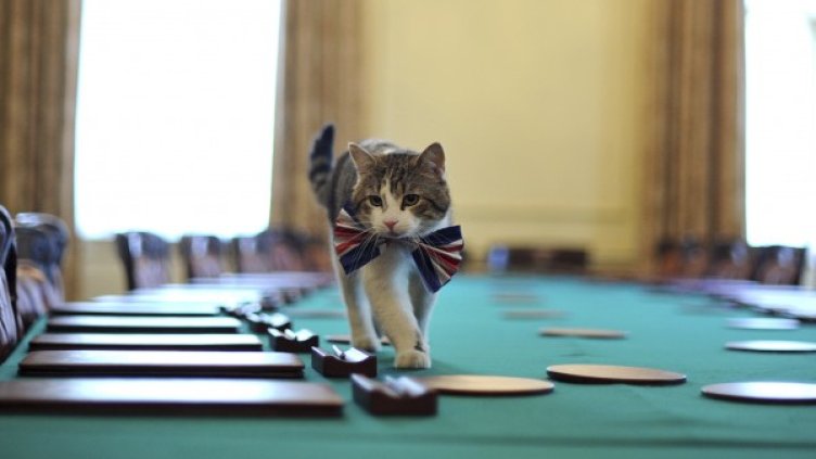 Снимка: архив Reuters