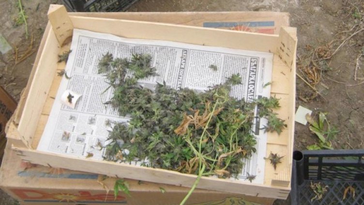 Снимка: Булфото