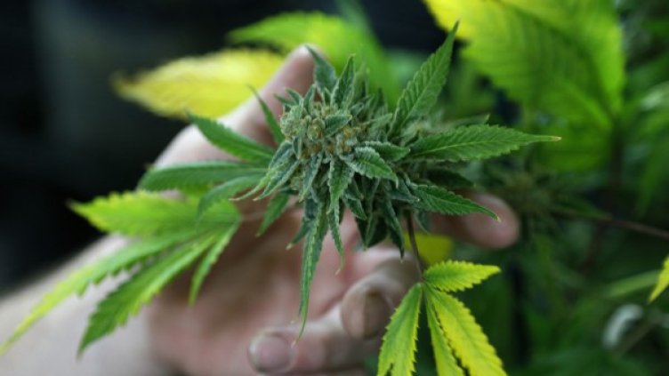 Снимка: Reuters, архив