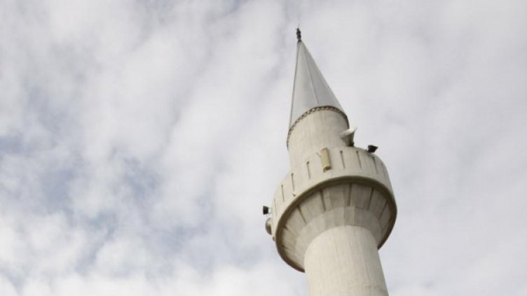 Архив: Булфото