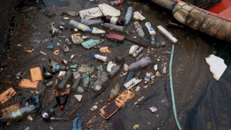 Снимка: Булфото