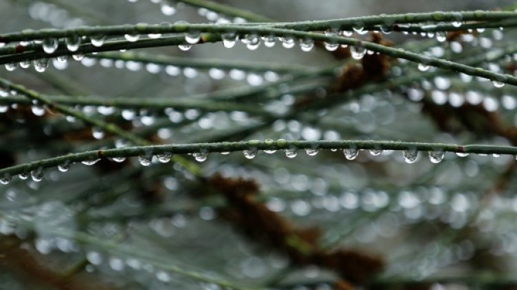 Снимка: Reuters, архив