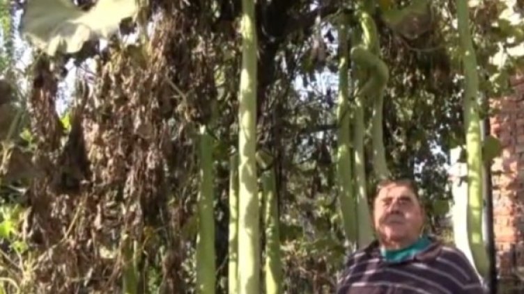 Снимка: Нова телевизия