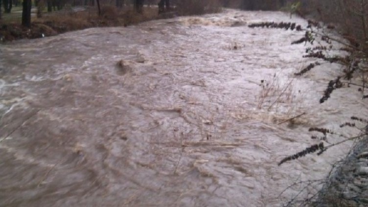 Снимка: Dnes.bg