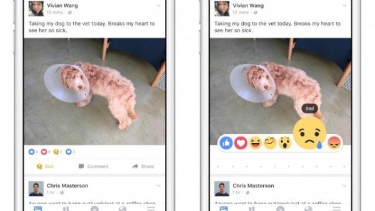 Снимка: Facebook