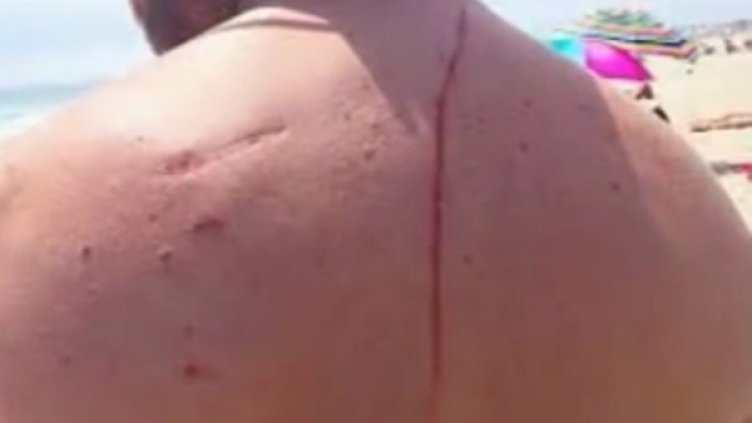 Снимка: YouTube