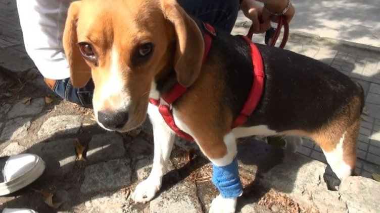 Снимка: Dnes.bg