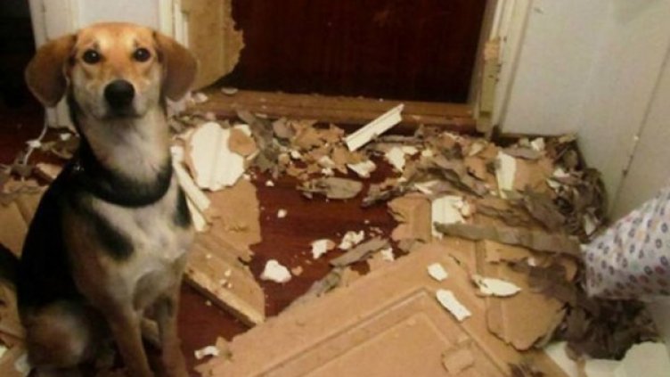 Снимка: Facebook