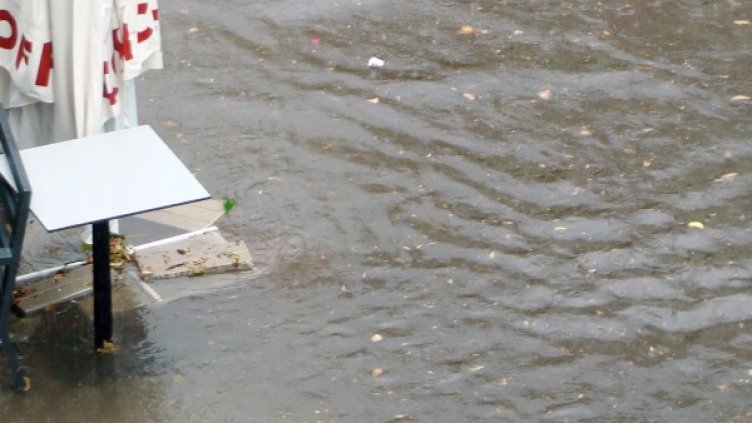 Снимка: Архив Булфото