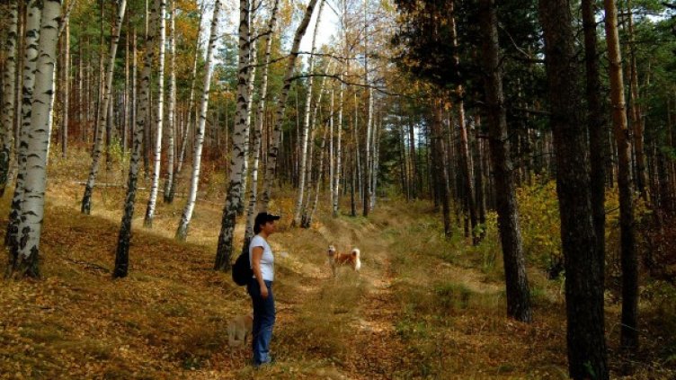 Снимка: Булфото