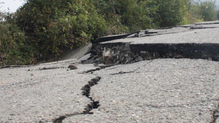 Снимка: архив Булфото