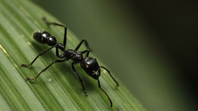 Снимка: Reuters, архив