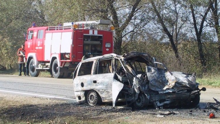 Снимка: Булфото