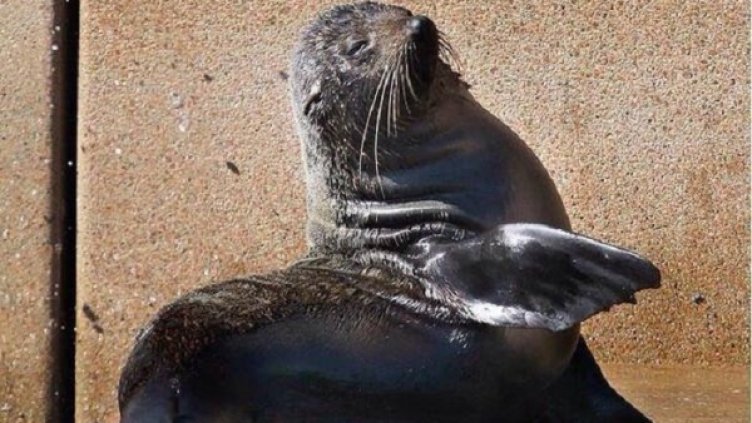 Снимка: Twitter