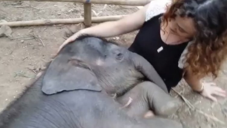 Снимка: YouTube