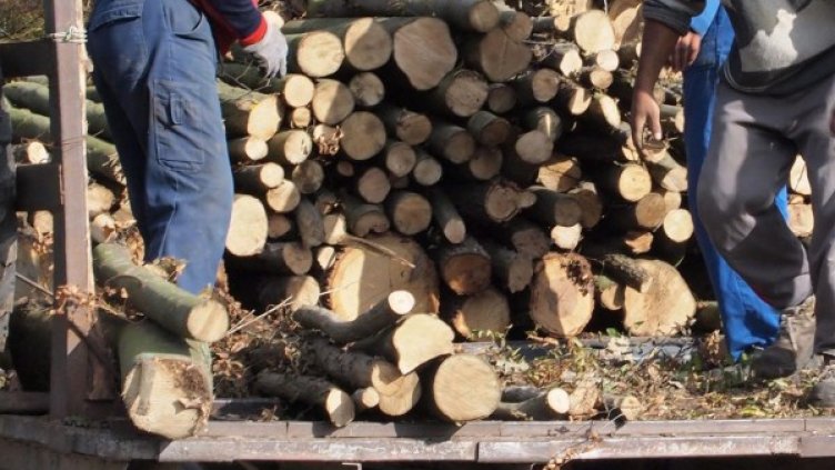 Снимка: архив, БулФото