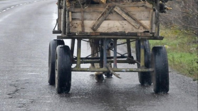 Архив: Булфото