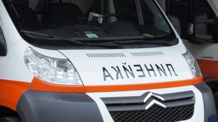 Снимка: архив Булфото