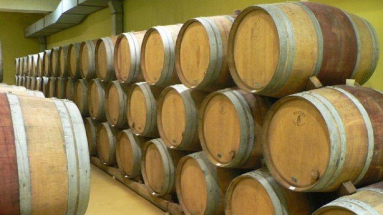 Снимка: Investor.bg