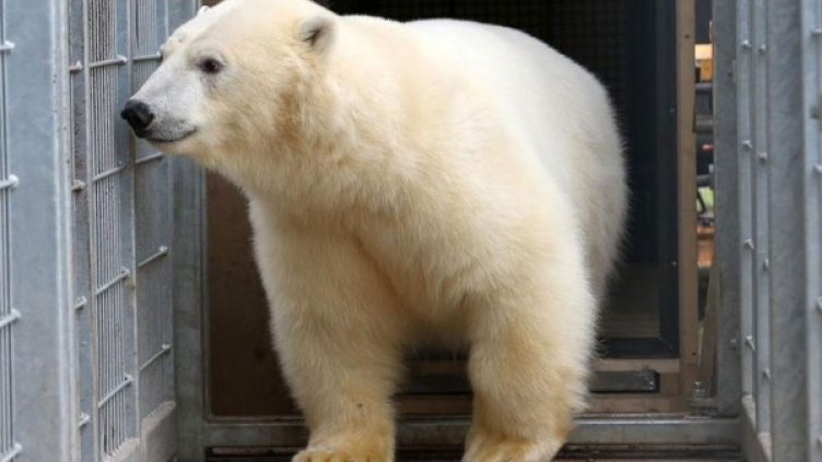 Снимка: Twitter