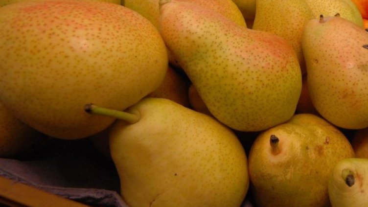 Снимка: Булфото, архив