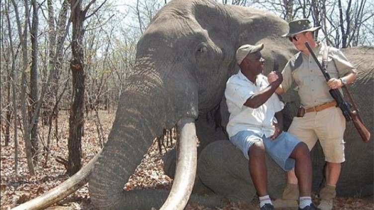 Снимка: Twitter