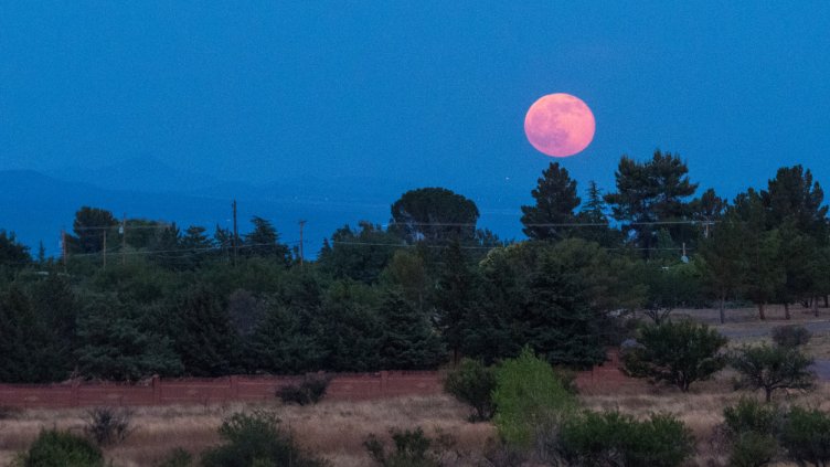 Снимка: Istock