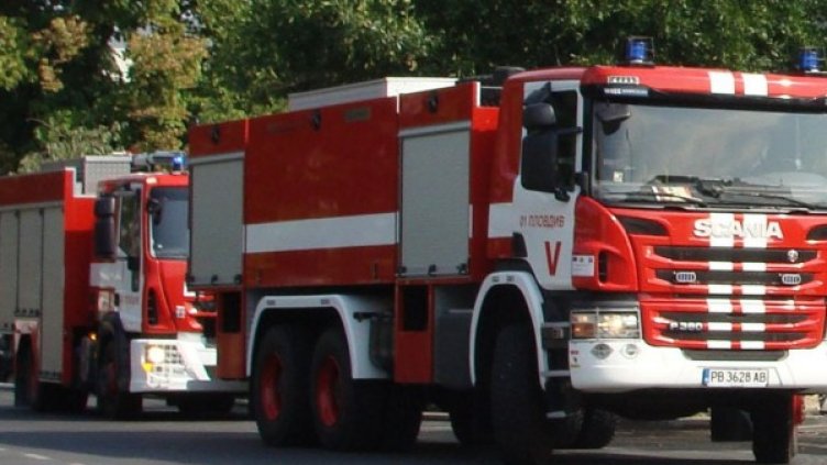 Снимка: Булфото