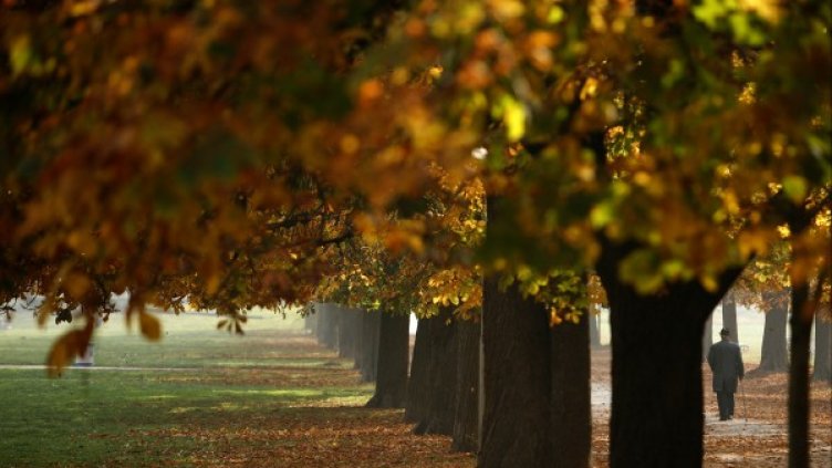 Снимка: Reuters, архив