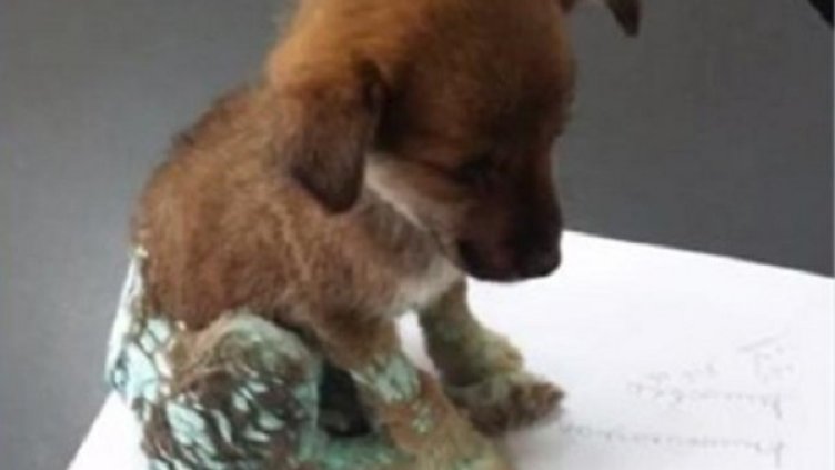 Кадър: Нова тв