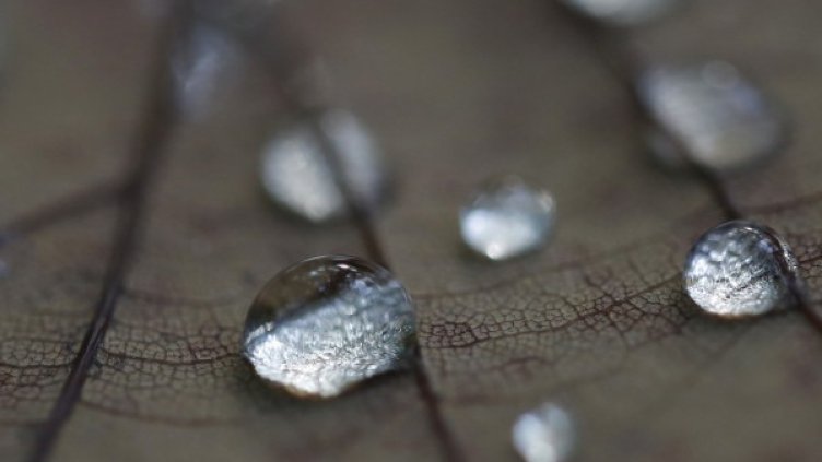 Снимка: архив Reuters