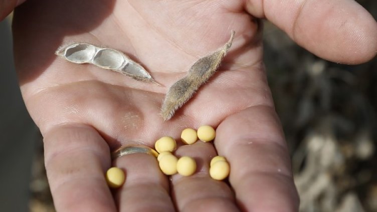 Снимка:  Reuters, архив