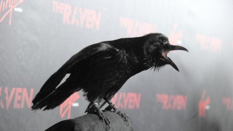 Снимка: Gettyimages