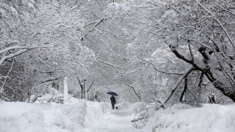Снимка: Reuters, архив