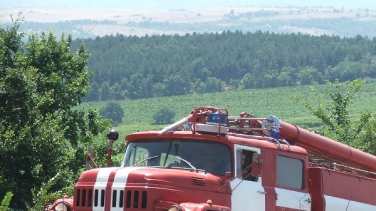 Снимка: Булфото, ахрив