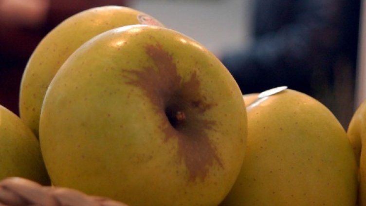 Снимка: архив: Булфото