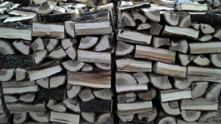 Снимка: Булфото, ахрив