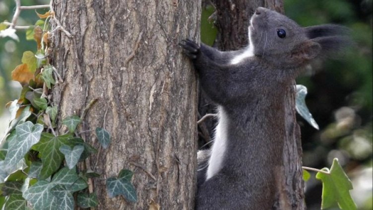 Снимка, архив: Булфото