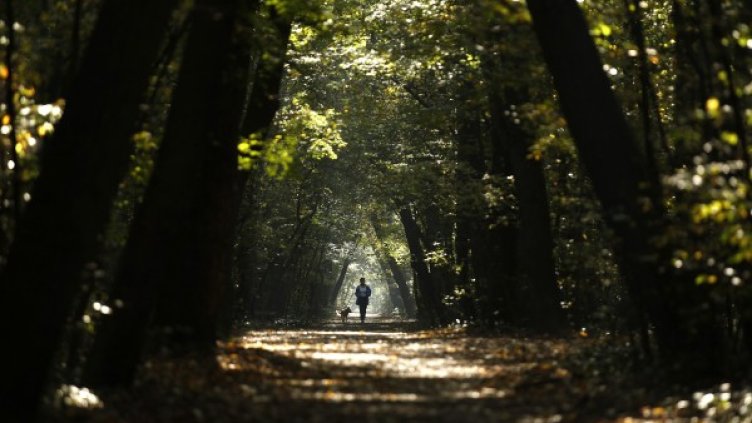 Снимка: Архив Reuters
