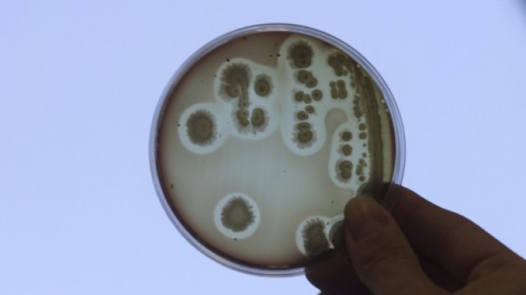 Снимка: Reuters, архив